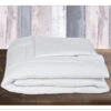 HiEnd Accents White Down Alternative Insert, King