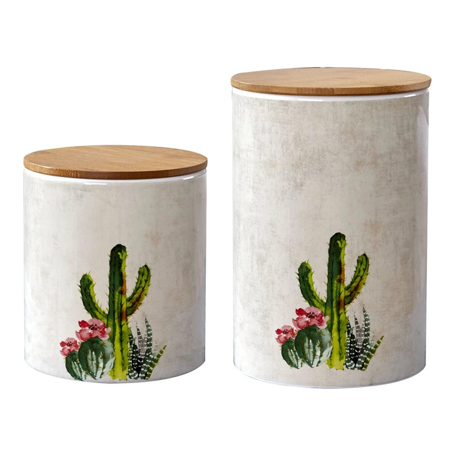 Desert Cactus 2-Piece Canister Set 1 Desert Cactus 2-Piece Canister Set