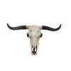 Steer Skull Western Wall Hanging